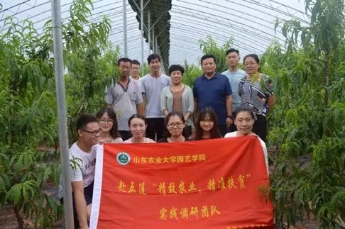 香港資料內(nèi)部資料精準(zhǔn),實(shí)踐調(diào)查說(shuō)明_TYN50.750藝術(shù)版