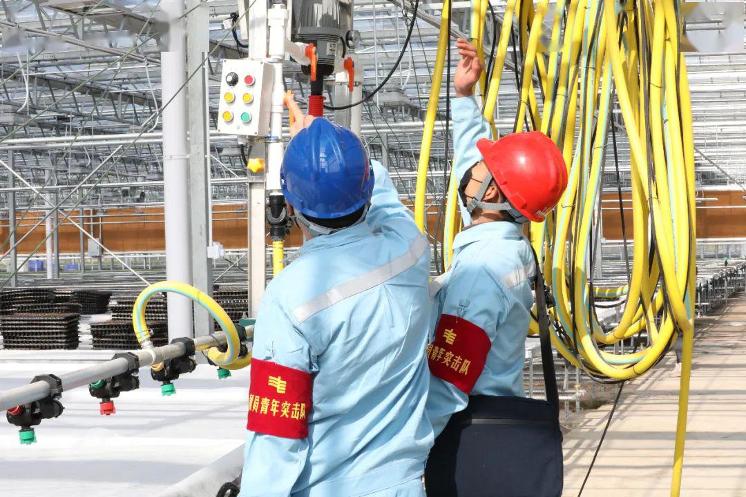 草海機(jī)場(chǎng)最新動(dòng)態(tài)揭秘，建設(shè)進(jìn)展、航班信息及未來(lái)展望