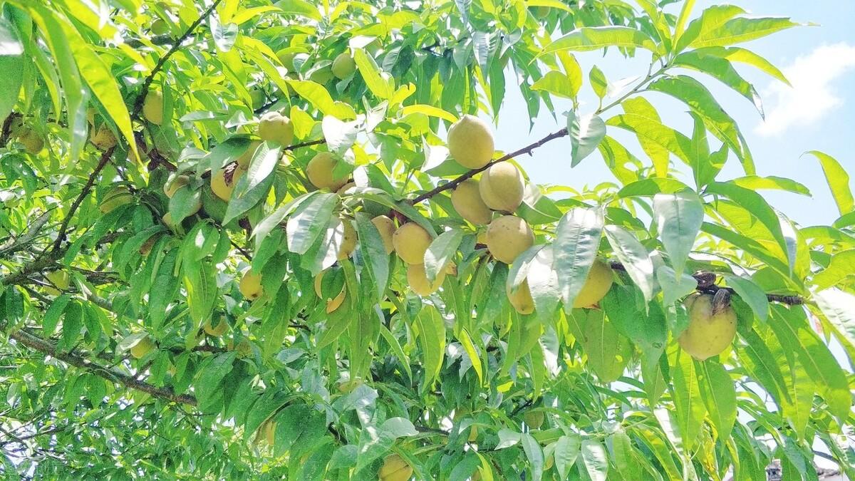 簡(jiǎn)暗最新小說(shuō)揭秘科技新品，智能生活體驗(yàn)新紀(jì)元