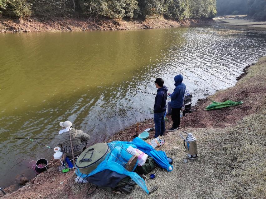 最新水庫(kù)釣魚(yú)視頻，探索釣魚(yú)樂(lè)趣與技巧全攻略