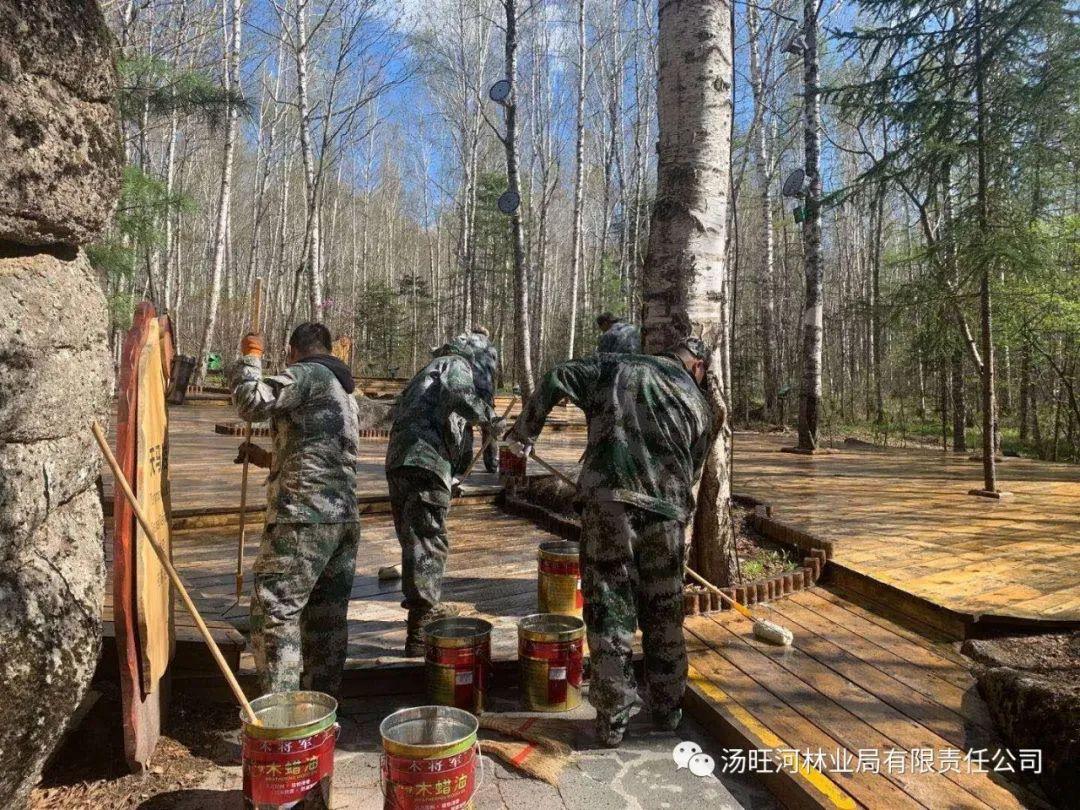 探尋神秘寶石世界的獨(dú)特魅力，最新奇石新聞報(bào)道