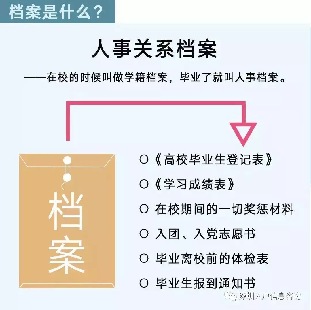 檔案人員補貼最新觀點論述，探討補貼政策與檔案人員發(fā)展的關系