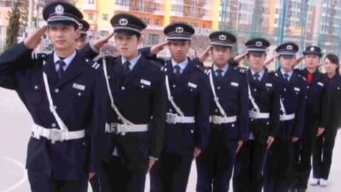 寧國(guó)最新保安招聘及其探討，行業(yè)現(xiàn)狀與發(fā)展趨勢(shì)分析