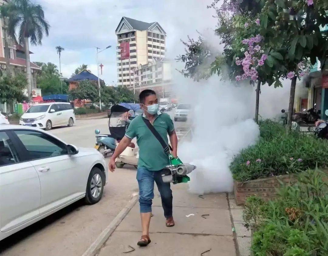 景洪登革熱最新疫情動態(tài)，挑戰(zhàn)與自信之光的博弈