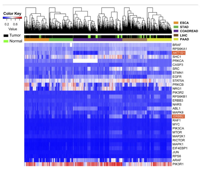 …2024新澳資料免費精準(zhǔn)109,澳…,信息明晰解析導(dǎo)向_NSZ10.241生態(tài)版