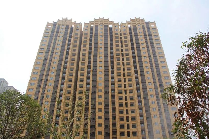 紫荊城邦最新動(dòng)態(tài)，揭開未來生活新篇章的序幕