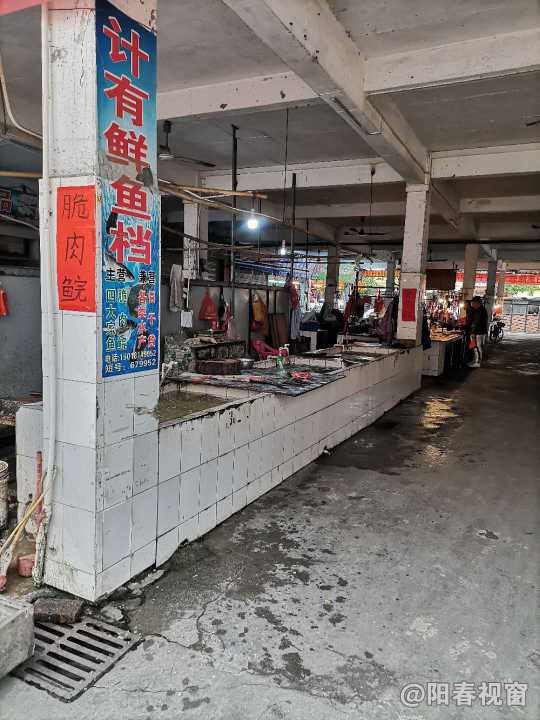 最新魚(yú)檔轉(zhuǎn)讓?zhuān)盐丈虣C(jī)，輕松開(kāi)啟水產(chǎn)養(yǎng)殖事業(yè)之路