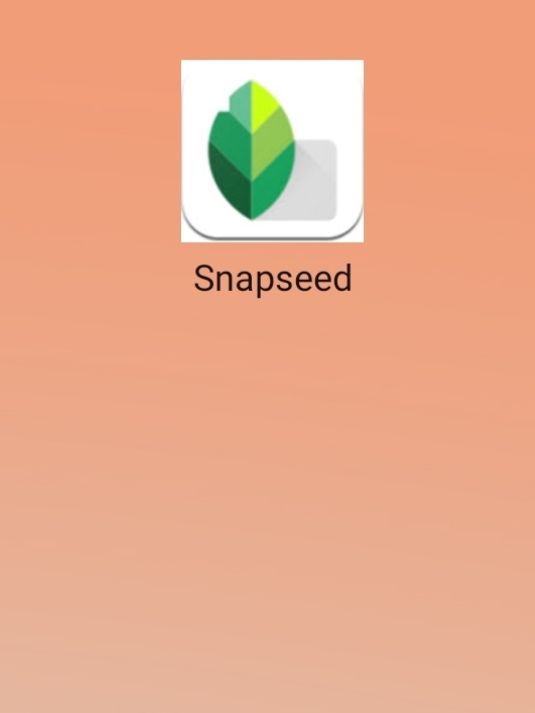 最新snapseed中文版，科技重塑影像，讓生活因攝影更精彩