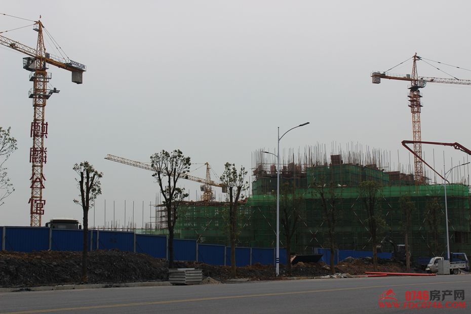 池州麒麟公館最新動態(tài)揭秘，最新進展與資訊更新