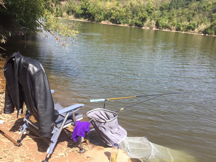 山門寺水庫釣魚最新指南，垂釣攻略與技巧分享