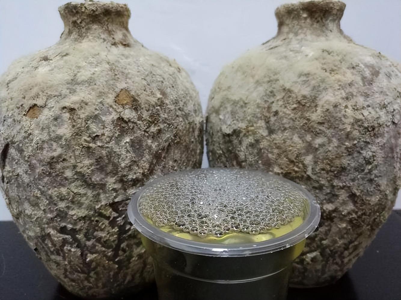 仁懷房屋出售最新信息，科技與家居融合，未來家居新體驗(yàn)重磅推出