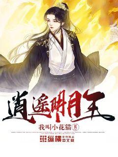 時代之光下的璀璨篇章，明月珰最新連載熱議熱議熱議！