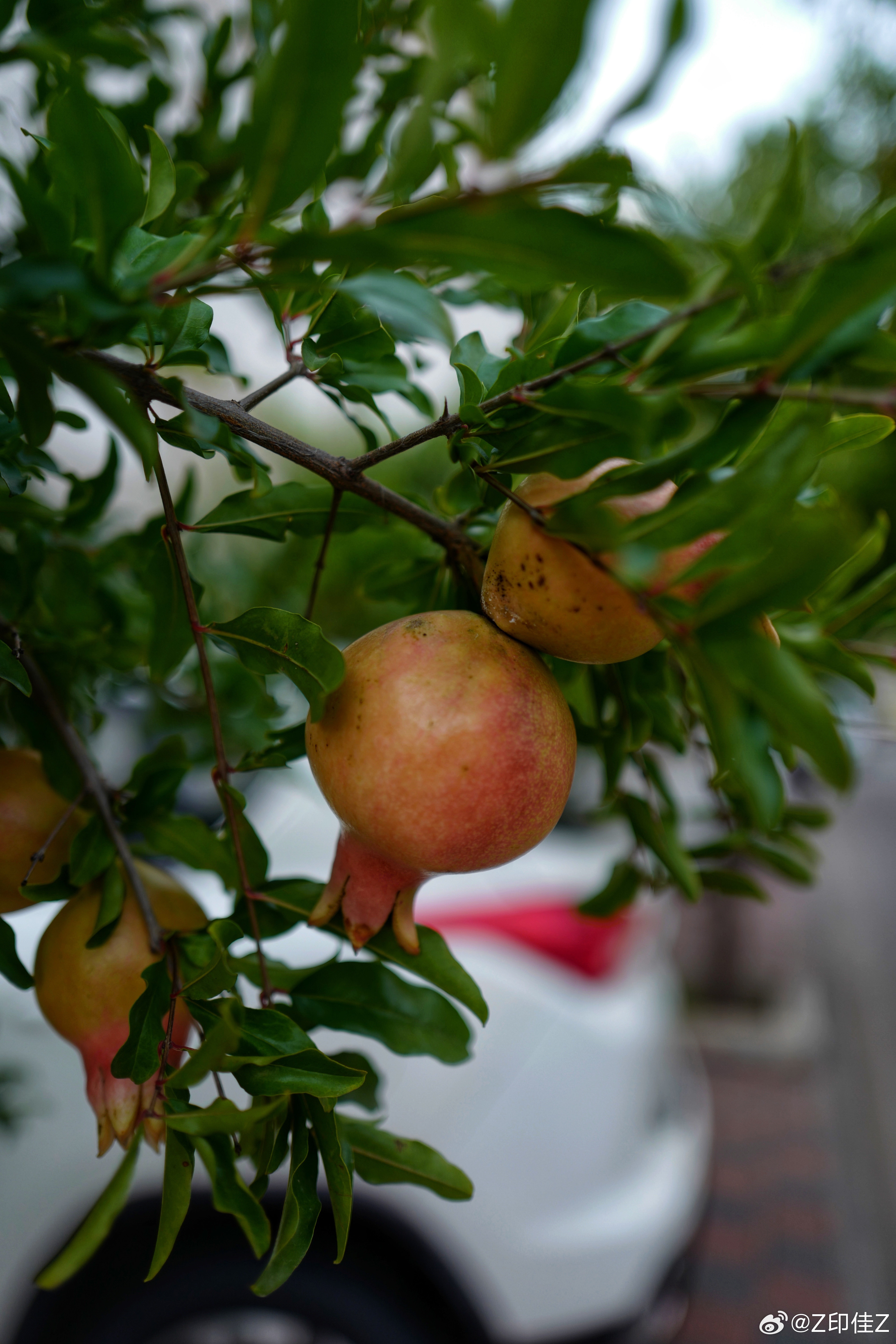 遠離非法色情內容，倡導健康生活與積極旅游體驗