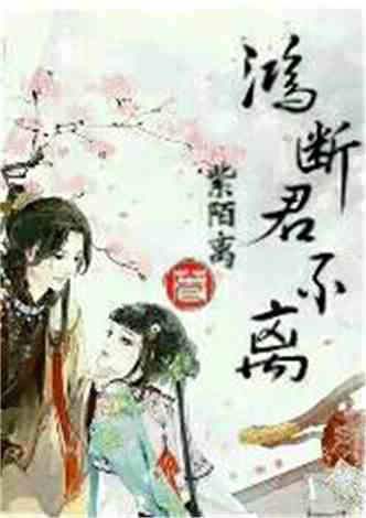 沈南汐最新小說，知識的力量，成就夢想的翅膀之路