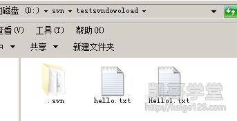 Jav最新網(wǎng)址探索，小巷深處的獨特風味之旅