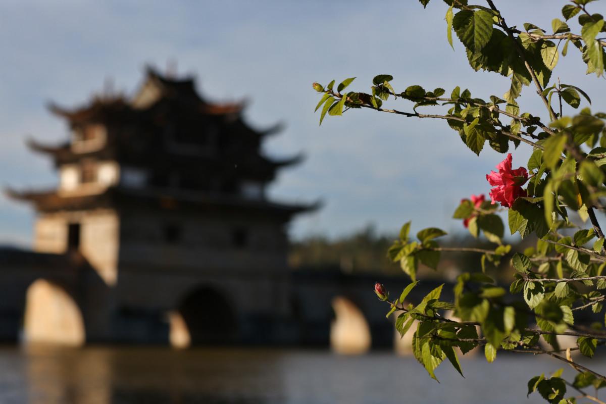 大冰最新力作，智能生活新紀(jì)元——科技與生活的完美融合