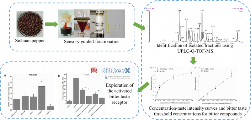 494949開獎最快結果,科技成果解析_GZY9.585輕量版