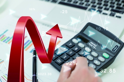 三期內(nèi)必開(kāi)一期+資料,決策的信息資料_升級(jí)版96.441