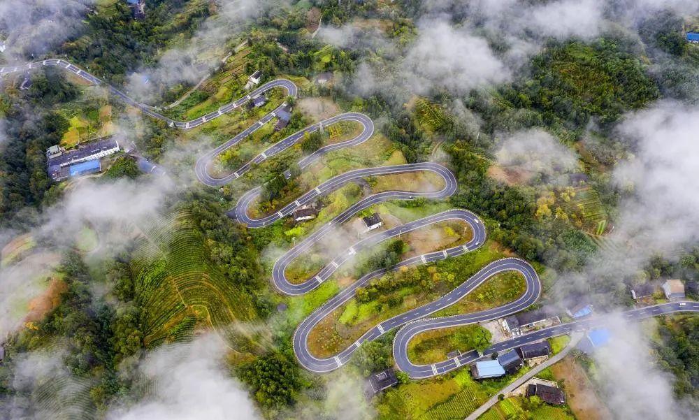 奉節(jié)云霧鄉(xiāng)的最新動態(tài)與溫馨日常，云霧中的快樂時光