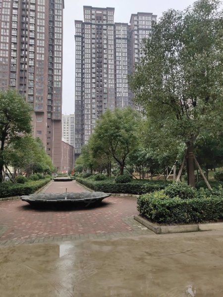 南陽(yáng)盛世御苑最新動(dòng)態(tài)揭秘，全面指南與步驟詳解