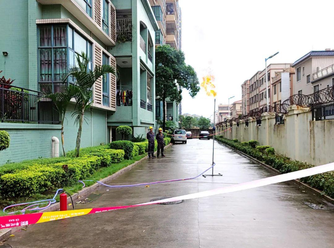 中山東鳳佛奧最新動(dòng)態(tài)，自然美景的探索之旅，尋找內(nèi)心平和與寧?kù)o