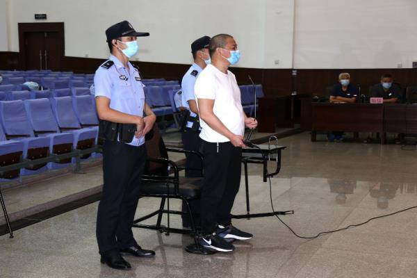 張顯富一審最新消息，自然之旅的呼喚，內(nèi)心平和之地的探尋