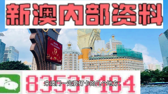 2024澳門精準(zhǔn)正版免費(fèi)大全,深入挖掘解釋說明_時尚版78.197