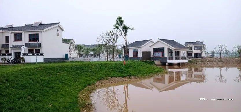 高劉鎮(zhèn)天河村最新消息及其影響深度解析