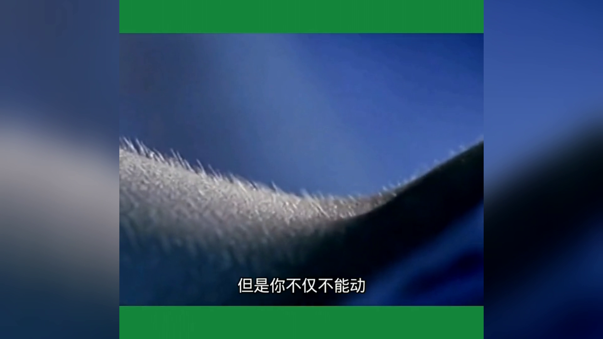 新澳門最精準正最精準,科學分析解釋說明_桌面款98.781