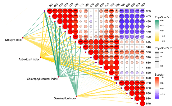 新澳門資料大全正版資料？奧利奧,科學解釋分析_增強版40.269