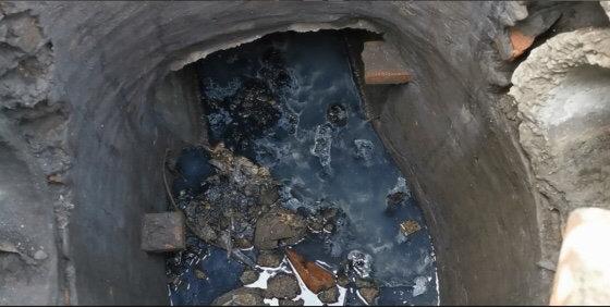 遂寧市電子廠最新招聘，與自然共舞，探尋內(nèi)心寧?kù)o之旅