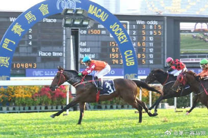 2024年澳門特馬今晚,標準執(zhí)行具體評價_知識版49.560