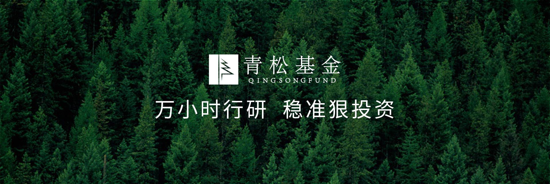 長青樹眾籌最新動態(tài)，背景、發(fā)展與時(shí)代地位探索
