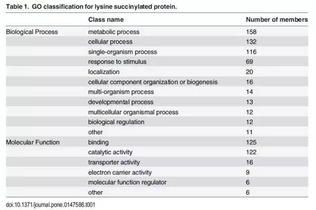 奧門開獎(jiǎng)結(jié)果+開獎(jiǎng)記錄2024年資料網(wǎng)站,精細(xì)化方案決策_(dá)云技術(shù)版74.496