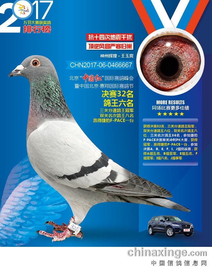 王中王100℅期期準(zhǔn)澳彩,全身心解答具體_養(yǎng)生版8.595