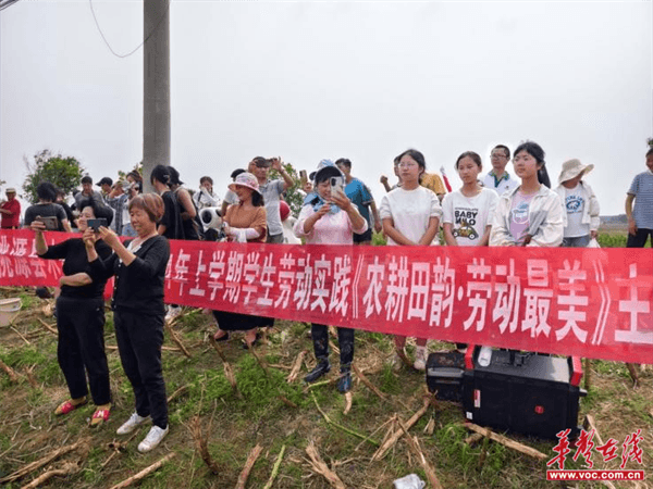 桃源木塘垸鄉(xiāng)新動(dòng)態(tài)，趣事連連，真摯友情綻放鄉(xiāng)間