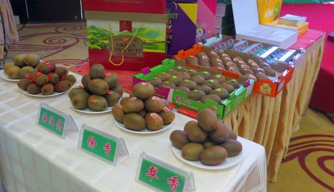 嘉興對(duì)接上海最新進(jìn)展，城市崛起中的自信與成就感展現(xiàn)新面貌