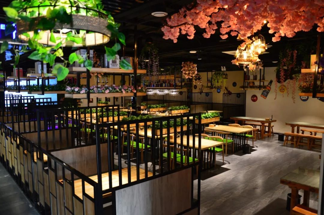 中餐廳最新一期音樂(lè)，熱門(mén)旋律與節(jié)目魅力的完美交融