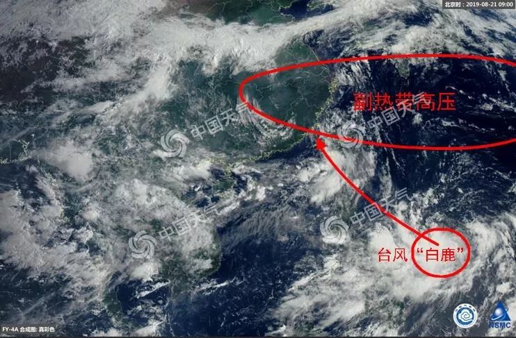 最新臺風路線動畫，風云變幻，你我同行成長之路