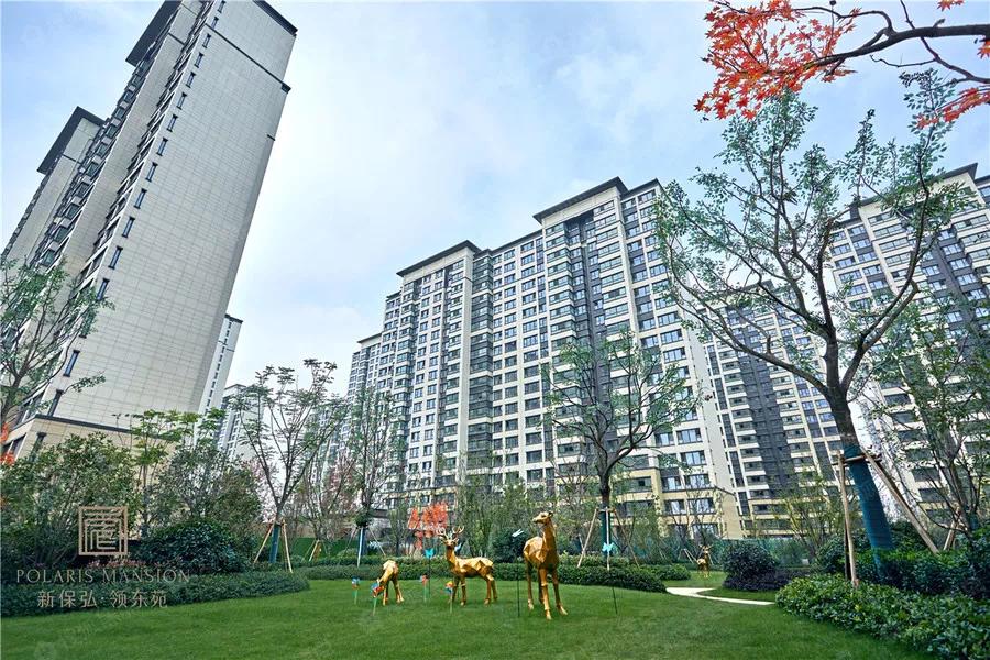 南京樓盤最新動態(tài)，與自然美景的邂逅，探尋內心平和寧靜的居所