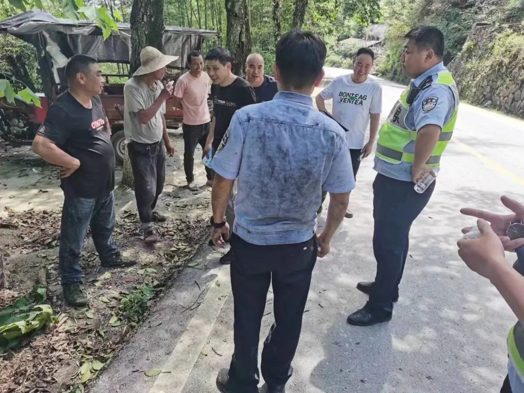 慶元最新事件，引領(lǐng)科技潮流的高科技產(chǎn)品揭秘