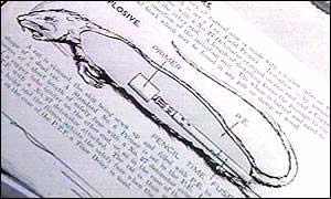 美國填尸最新進(jìn)展，高科技重塑生活，未來科技魅力體驗(yàn)