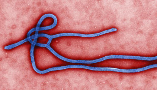 警惕最新病毒病人，你需要了解這些關鍵信息！