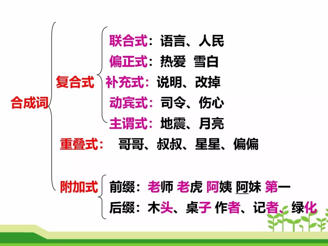 最新合成詞，語言發(fā)展的微觀視角探索