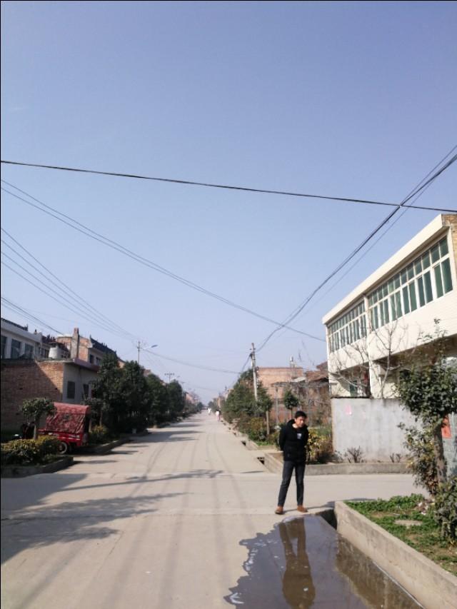 周至縣最新動態(tài)，發(fā)展脈搏與時代步伐的交融進展