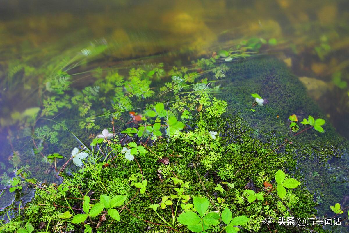 南山高樓崛起，背景、發(fā)展與時代地位全景解析