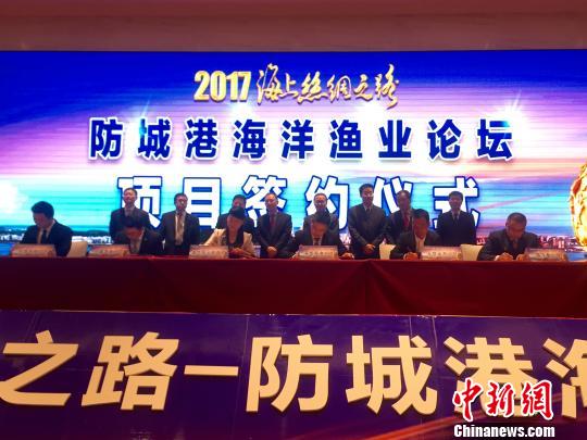 防誠港最新,防誠港的最新發(fā)展，機遇與挑戰(zhàn)并存