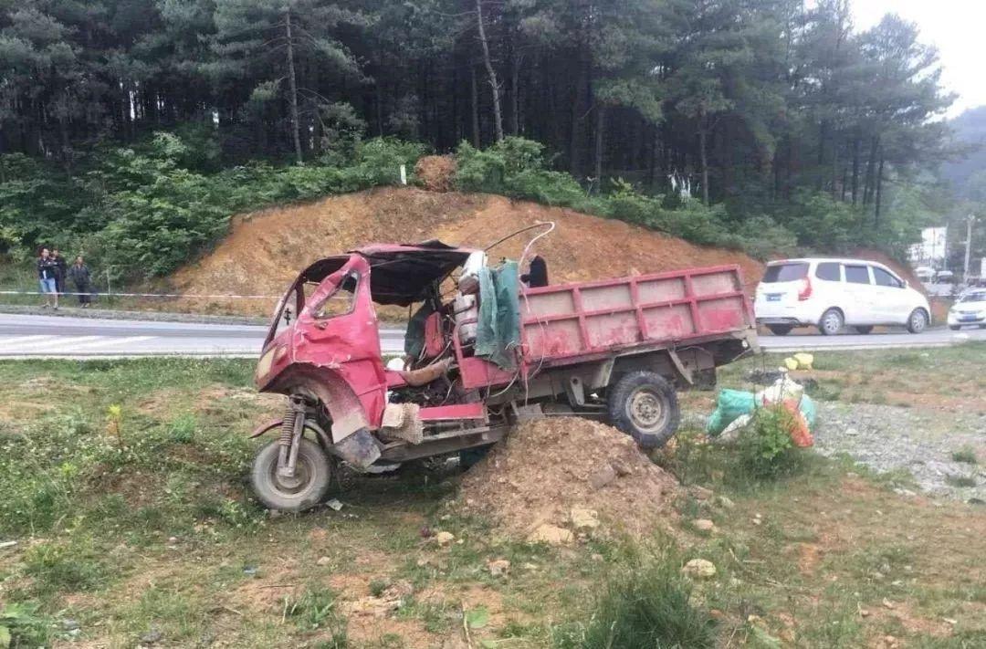 平山事故背后的溫馨故事，友情、愛(ài)與陪伴的奇遇