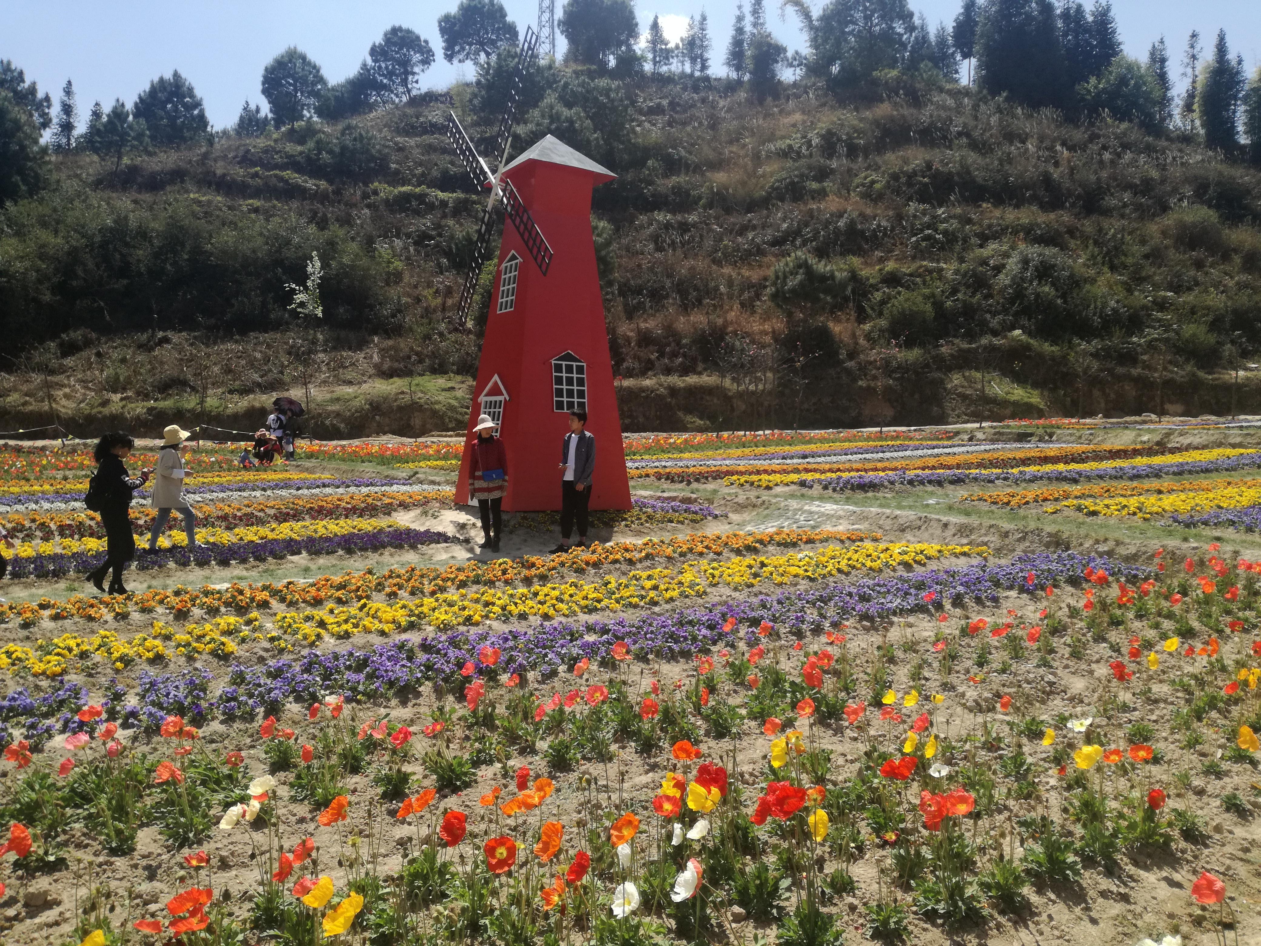 臨滄市最新探索，自然美景之旅，尋找內(nèi)心平和的旅程