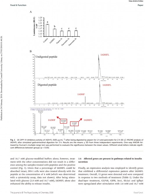 糖肽最新文獻(xiàn)，自然之旅的心靈探尋之旅，尋找內(nèi)心的寧靜